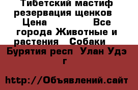Тибетский мастиф резервация щенков › Цена ­ 100 000 - Все города Животные и растения » Собаки   . Бурятия респ.,Улан-Удэ г.